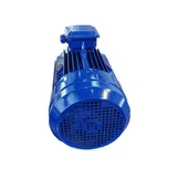 De que manutenção um motor trifásico 110V precisa?